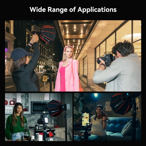 RA-D30 mini Parabolic Softbox for RC 60 B