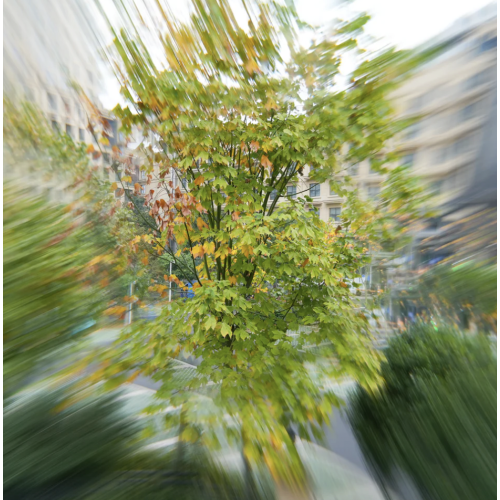 Ghost V4 Motion FX Filter (77mm)