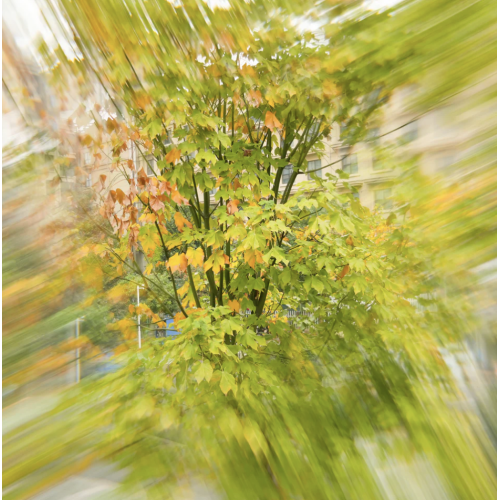 Ghost V4 Motion FX Filter (77mm)