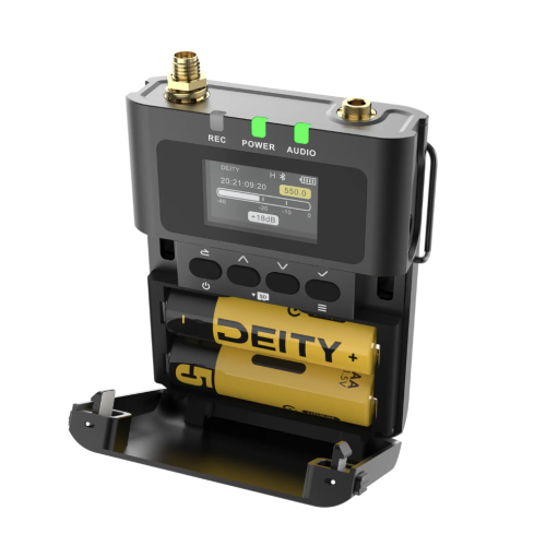 Bộ thiết bị không dây kỹ thuật số THEOS 2 kênh 