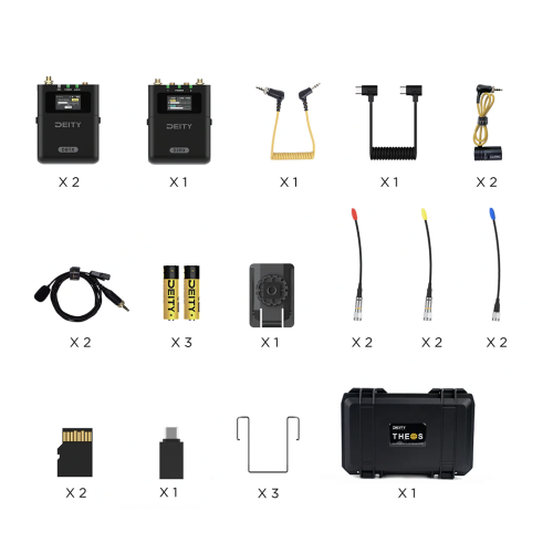 Bộ thiết bị không dây kỹ thuật số THEOS 2 kênh 