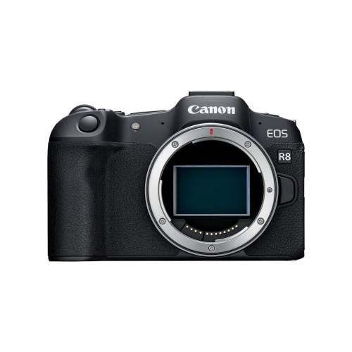 Canon EOS R8 + RF 24-105mm F4-7.1 IS STM