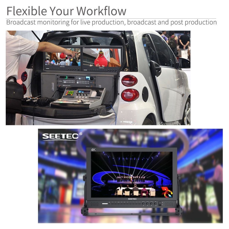 Monitor 4K HDMI 17.3 inch 3G-SDI P173-9HSD SEETEC