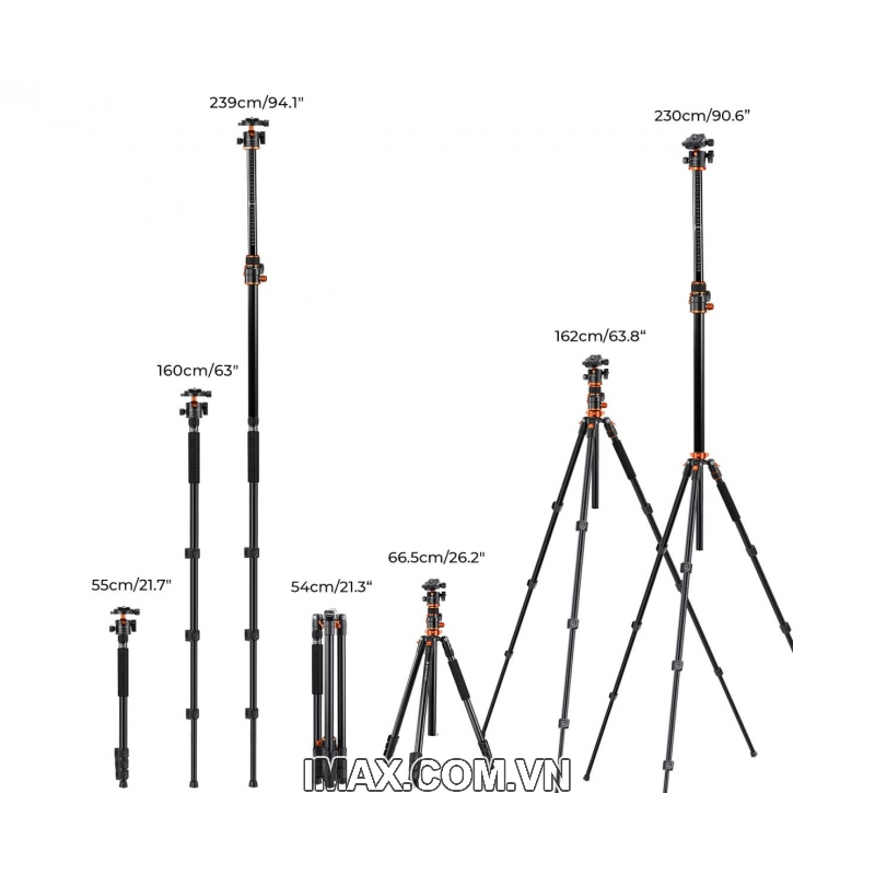 Chân máy K&F Concept T254A7+ BH-28L - KF09.119